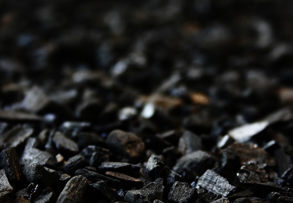 biochar-pic01